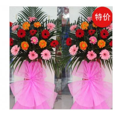 光辉灿烂-一对（特价）