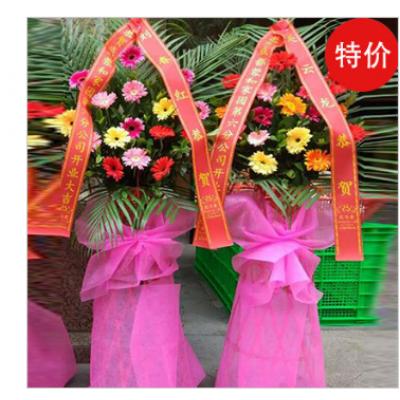 光辉灿烂-一对（特价）