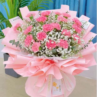 温馨思念-19支精品粉色康乃馨