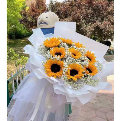 知音百年-7朵向日葵满天星