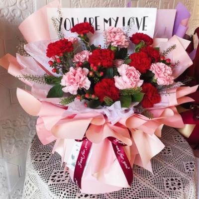 感恩在心中 11支红粉康