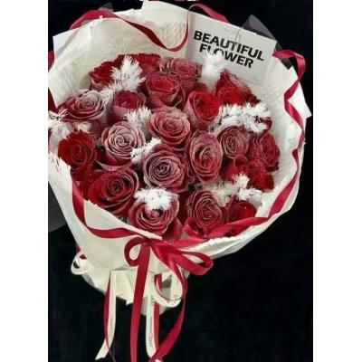 更好的我们-21支落雪玫瑰