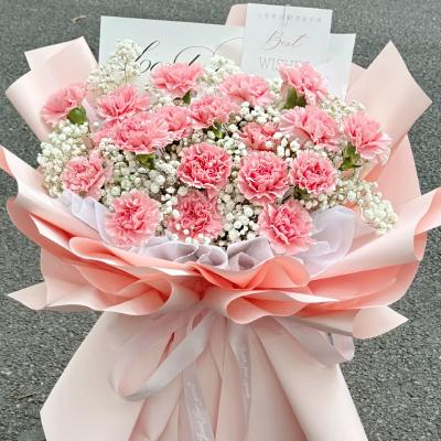 妈妈谢谢您 -19枝粉色康乃馨，白色满天星丰满间插