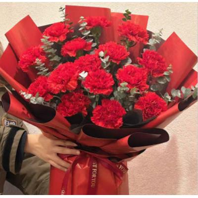 温柔以待 -16支红康加尤加利叶